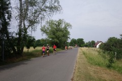 DSC_0504